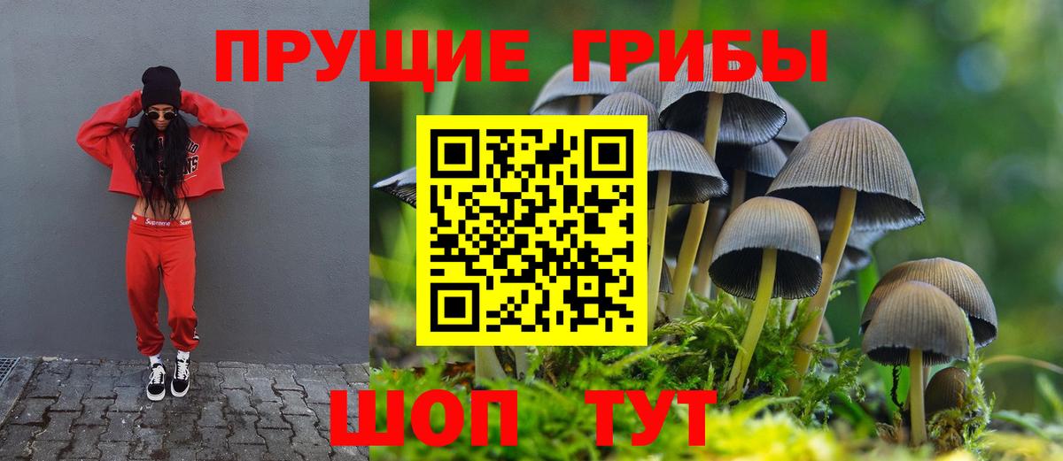 Мирный  Галлюциногенные грибы мухоморы  Галлюциногенные грибы мицелий  Вход с VPN 
