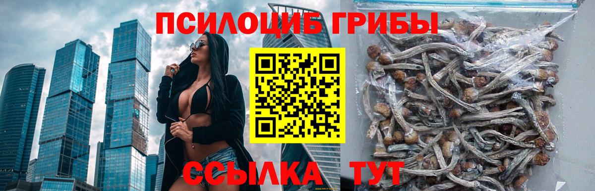 Псилоцибиновые грибы Magic Shrooms Мирный